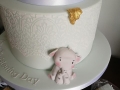 Baby elephant detail